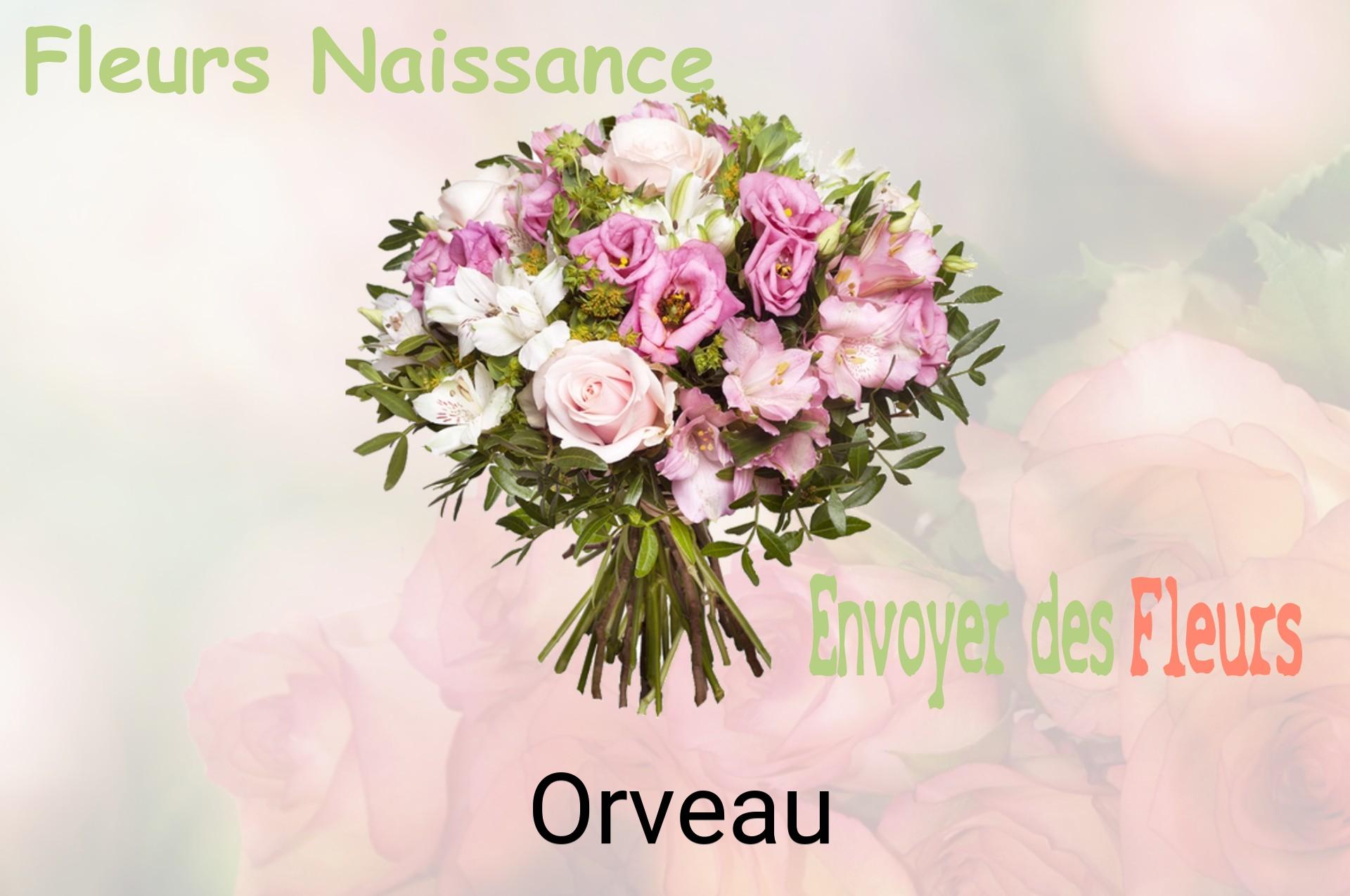 Bouquet de fleurs de naissance livré à Orveau